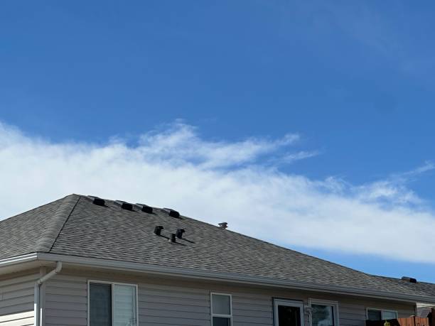 Best Asphalt Shingle Roofing  in Pinebluff, NC